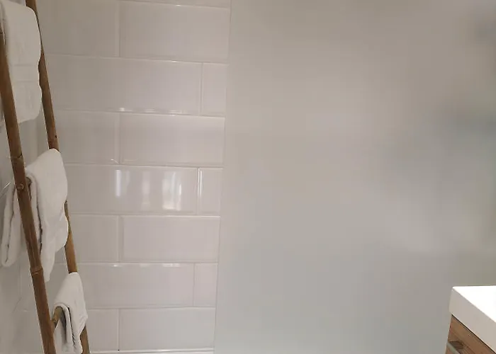 Monet 拉·里维耶尔·圣·秀